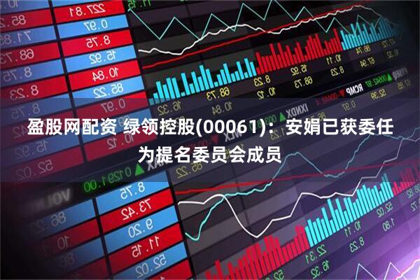 盈股网配资 绿领控股(00061)：安娟已获委任为提名委员会成员